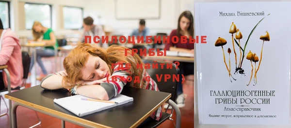 мдма Ладушкин