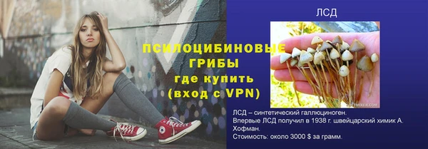 PSILOCYBIN Лагань