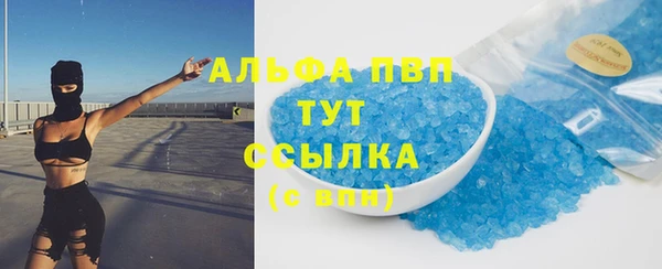 PSILOCYBIN Лагань