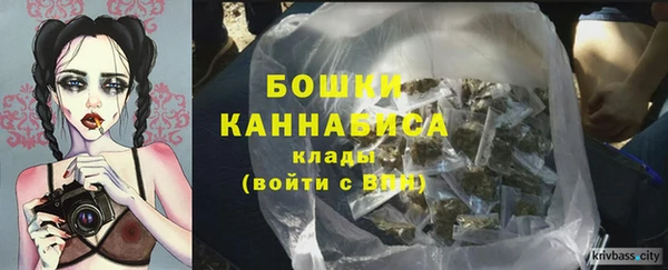 PSILOCYBIN Лагань